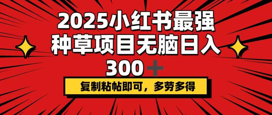 2025小红书最强种草项目,无脑日入300+,复制粘帖即可,多劳多得