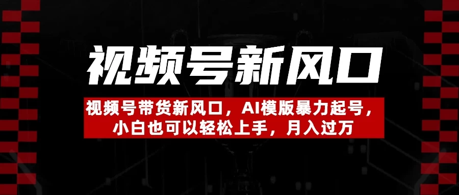 视频号带货新风口，AI模版暴力起号，小白也可以轻松上手，月入过万 第1张