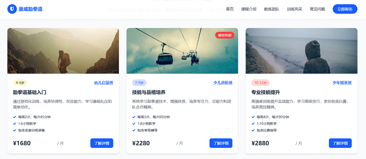 100套好看的网站模版